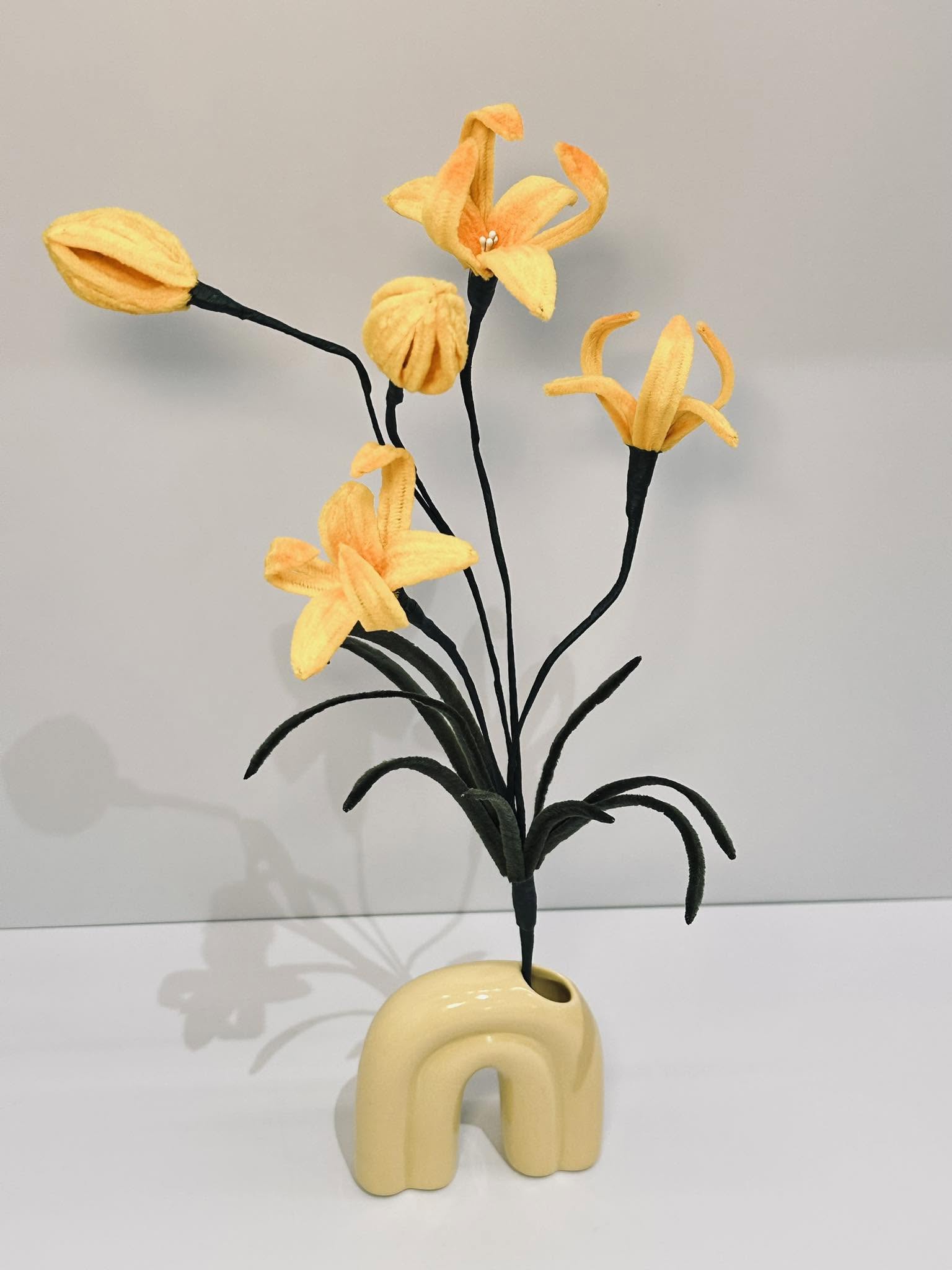 毛根蘭花草