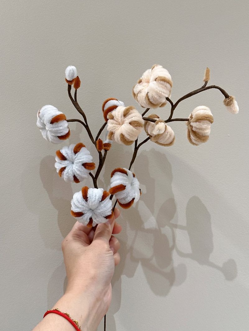 毛根木棉花
